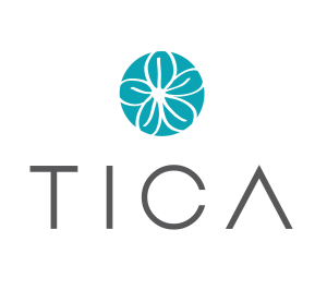 TICA | Sistema B